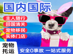 瑷珲航空快运国际宠物托运 【国